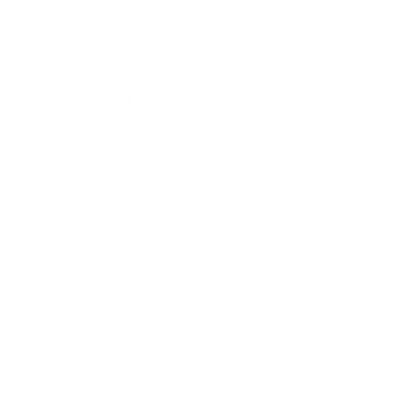 google-icon.png