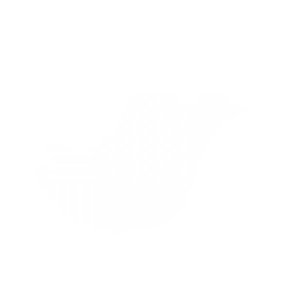 twitter-icon.png